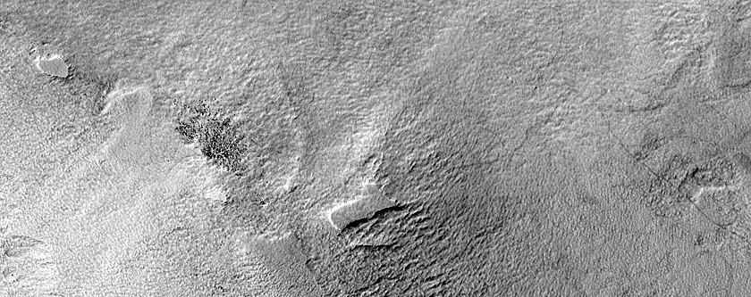 Terrain Sample
