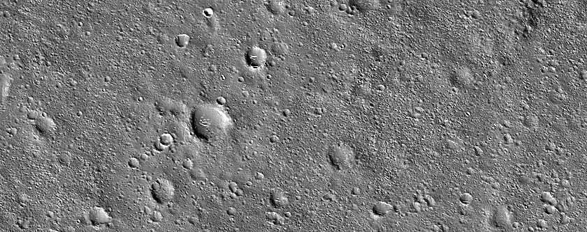Terrain Sample in Elysium Planitia