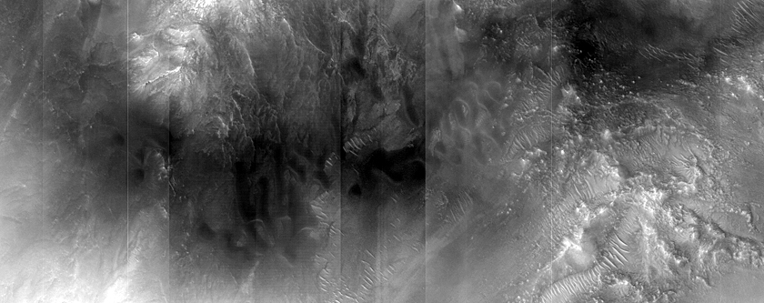 Dune Monitoring in Gamboa Crater