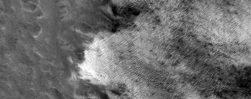 South Polar Region Cryptic Terrain Margin Monitoring in Reynolds Crater