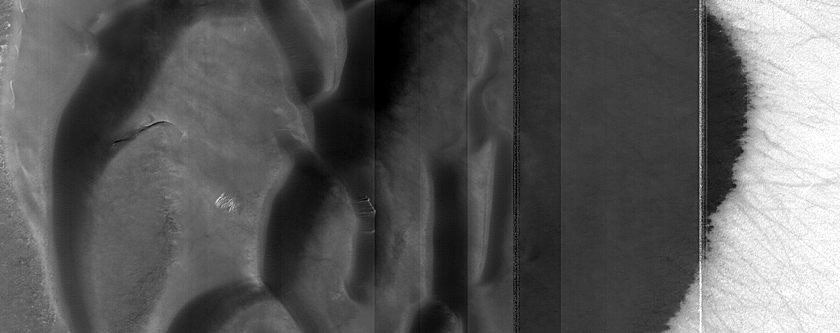 USGS Dune Database Entry Number 1706-715