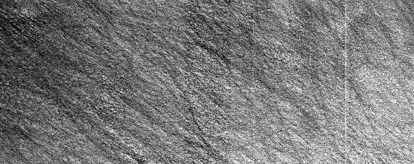 Terrain Sample