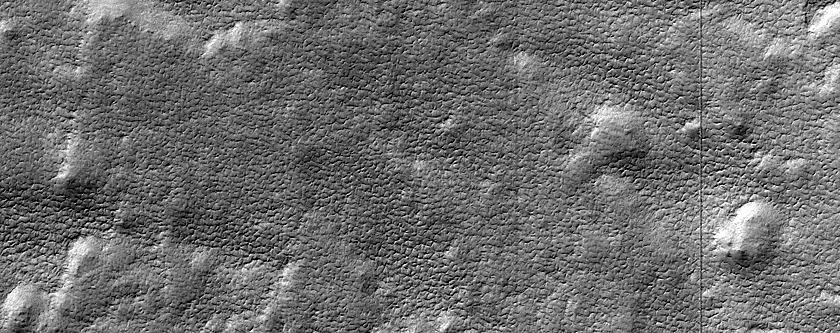 Terrain Sample