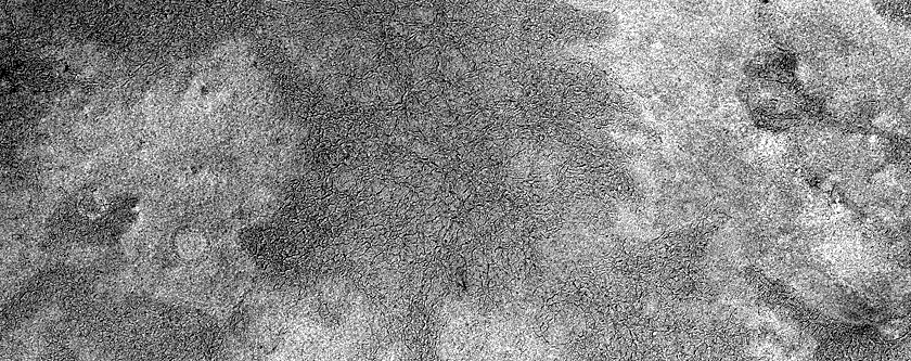 Terrain Sample