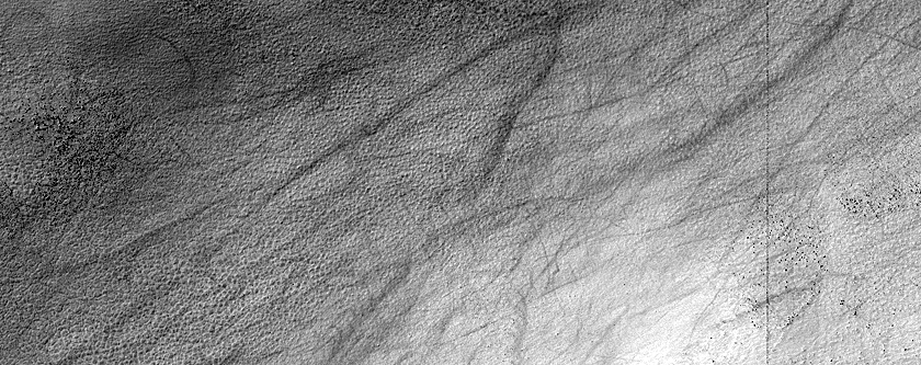 Terrain Sample