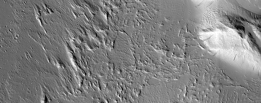 Terrain Sample