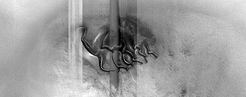 Dune Monitoring in Crater