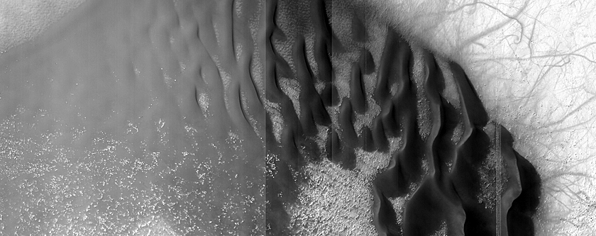 USGS Dune Database Entry Number 1747-521