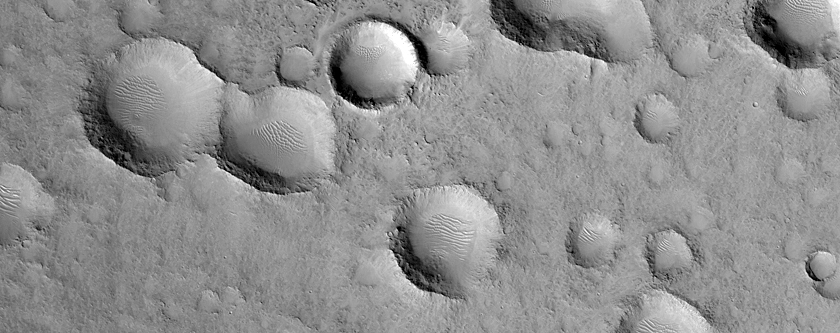 Terrain Sample
