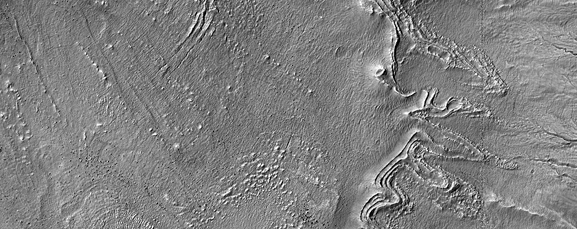Gully Monitoring