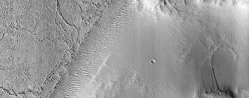 Lava Margin in Elysium Planitia