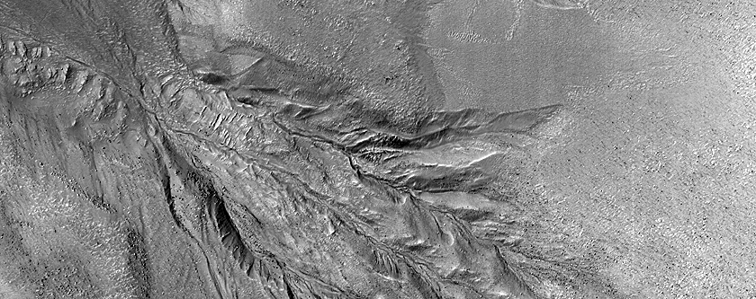 Gullies on Lobate Flow Feature Basin in Nereidum Montes
