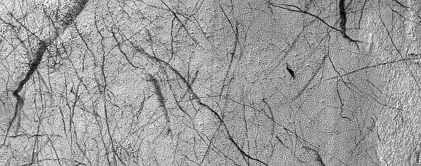 Terrain Sample