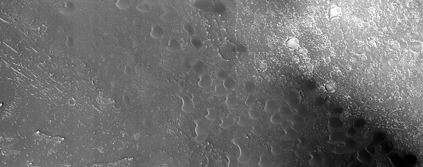 Cerberus Region Seasonal Dune Monitoring