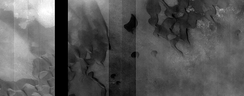 Dune Monitoring in Davies Crater