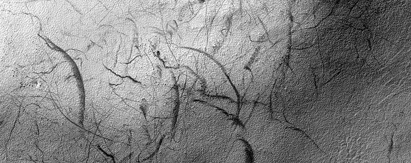 Terrain Sample