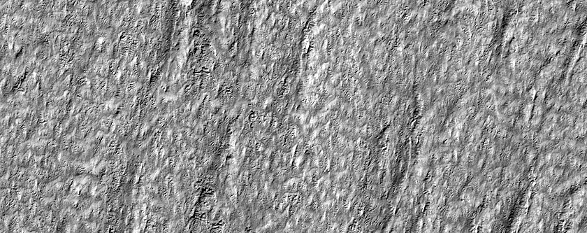 Terrain Sample