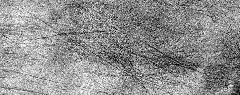 Terrain Sample