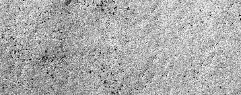 Terrain Sample