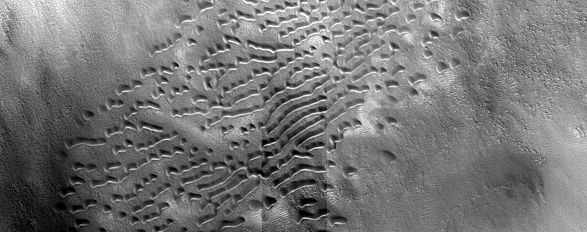 Dune Monitoring