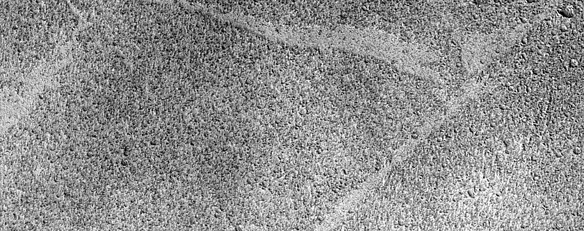 Terrain Sample