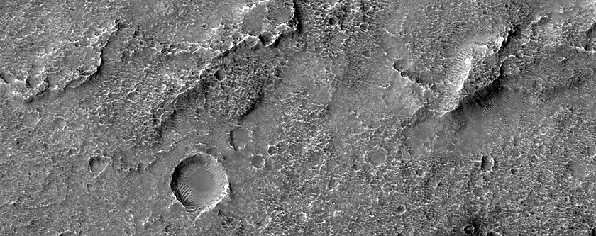 Terrain Sample