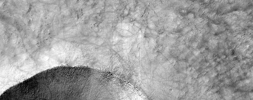 Gully Monitoring