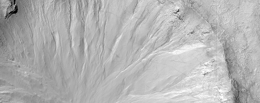 Gullied Crater with Rock Exposures