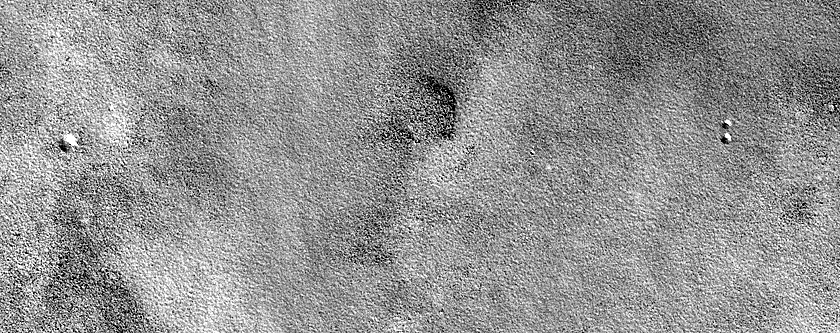 Terrain Sample