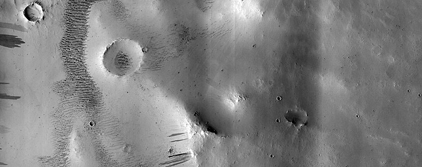 Terrain Sample