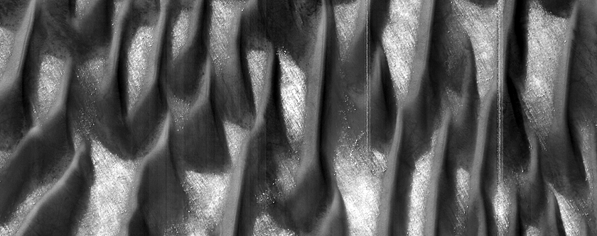 Defrosting Dune Transition and Elongated Barchans