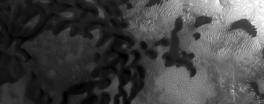 Dark Dunes in Impact Crater