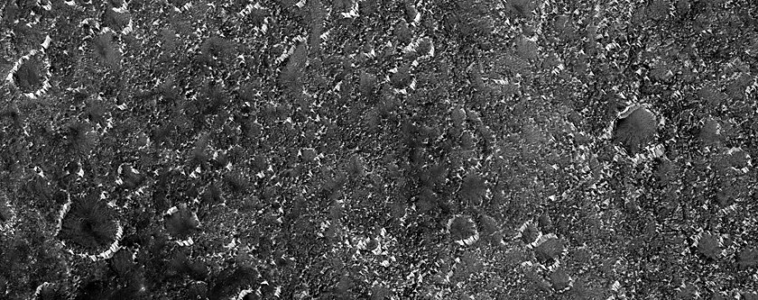 Terrain Sample