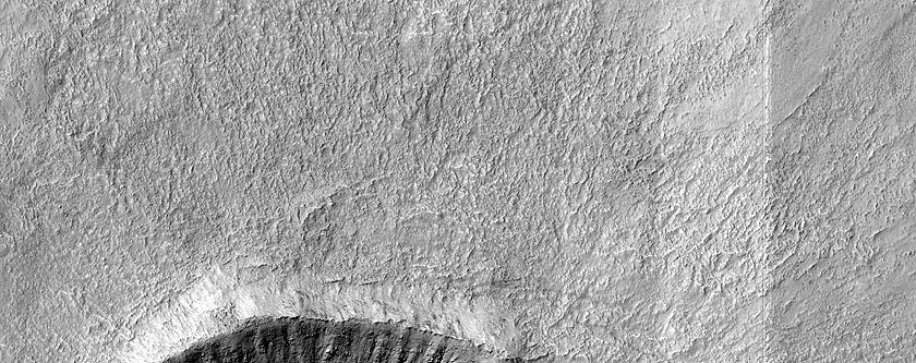 Gully Monitoring