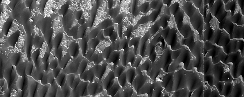Dune Field in Baldet Crater