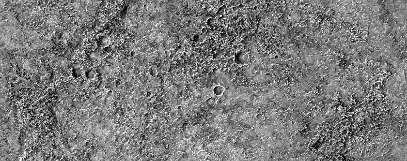 Terrain Sample