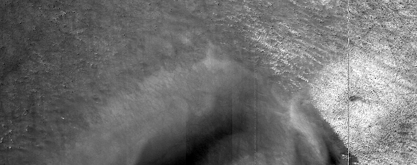 Polar Dunefield