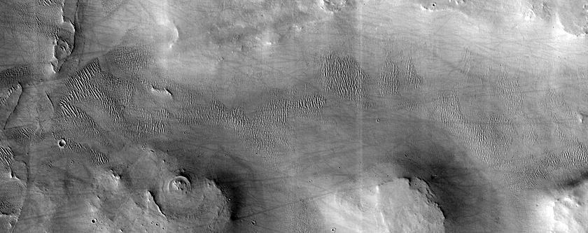 Terrain Sample