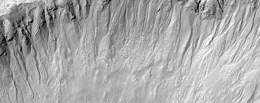 Gully Monitoring