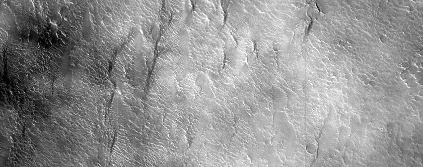 Terrain Sample