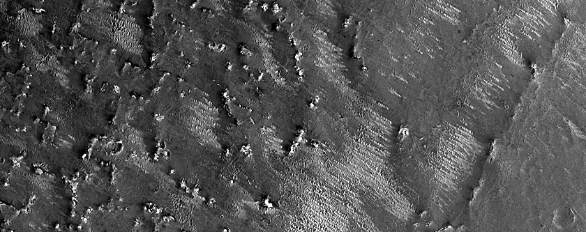 Meridiani Planum