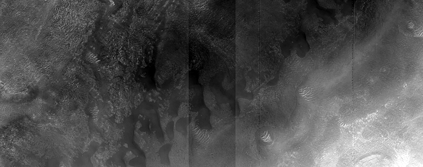 Dune Monitoring