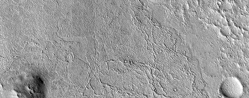 Lava Margins in Elysium Planitia