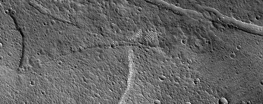 Terrain Sample