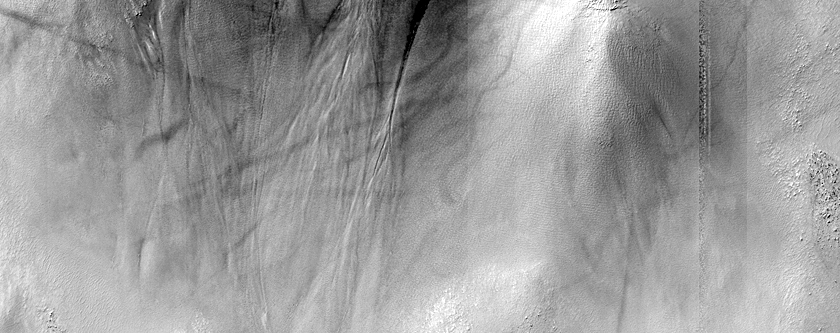 Gully Monitoring