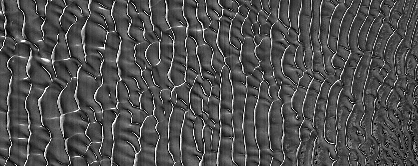 Dune Monitoring in Lomonosov Crater
