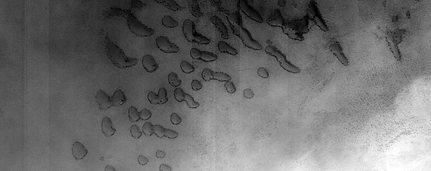 Dune Monitoring in Crater