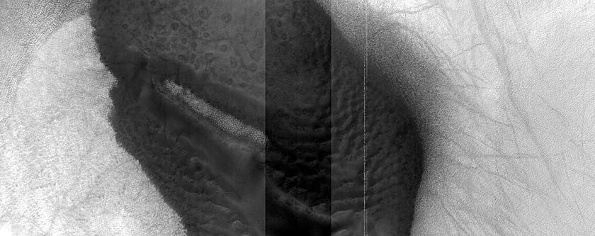 USGS Dune Database Entry Number 0424-637
