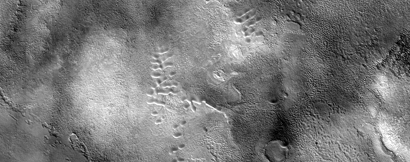 Dune Monitoring