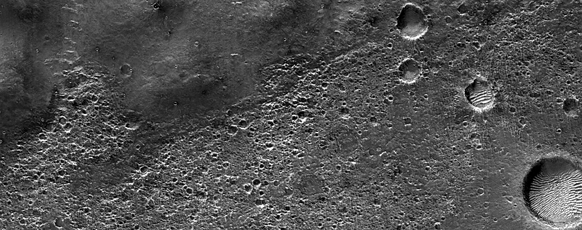 Sinai Fossae